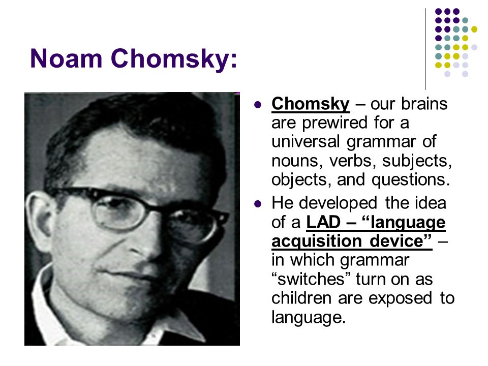 Chomsky’s Theory of Universal Grammar